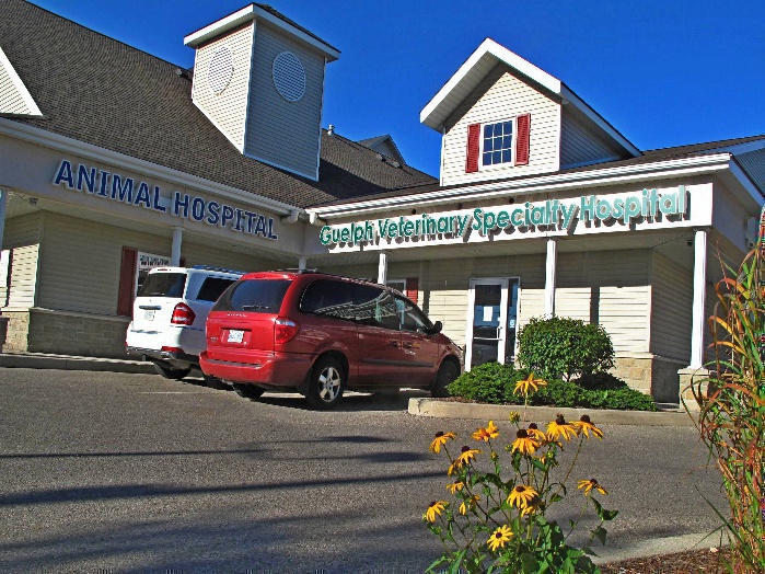 Guelph Veterinary Specialty Hospital